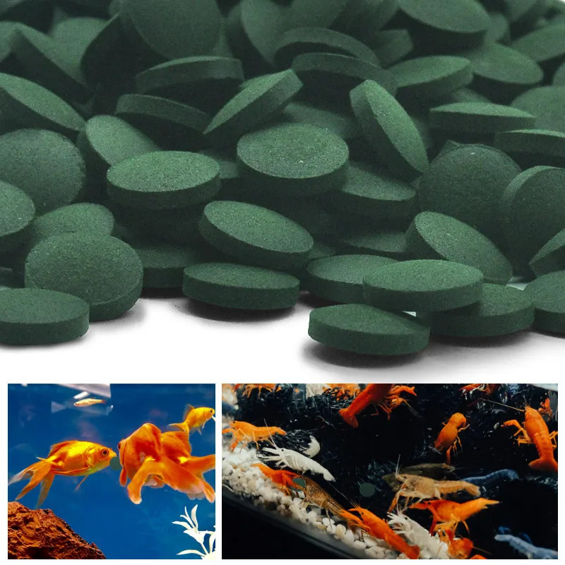 100/400/1000Pcs High Purity Sp – Spirulina Tablet Organic Bewertung und Preis