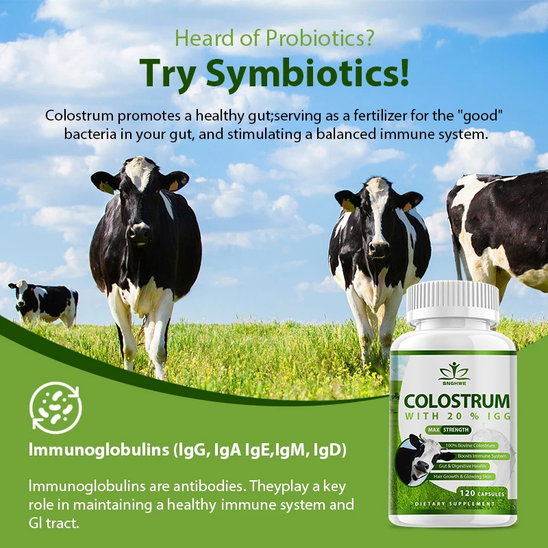 Grass Fed Colostrum Powder Sup – Colostrum Bovine Powder Bewertung und Preis