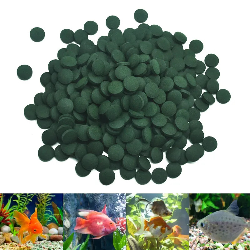50-1000pcs High Purity Spiruli – Spirulina Tablet Organic Bewertung und Preis