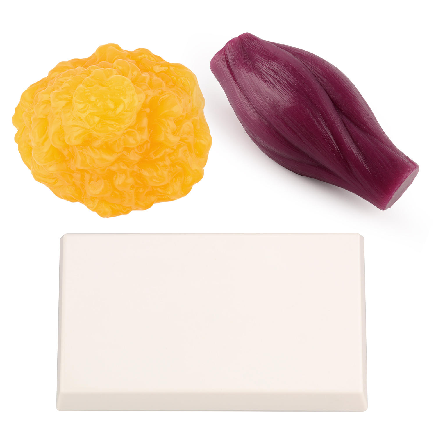 1lb Fat Replica & Muscle to Ke – Nutrition In Fitness Bewertung und Preis