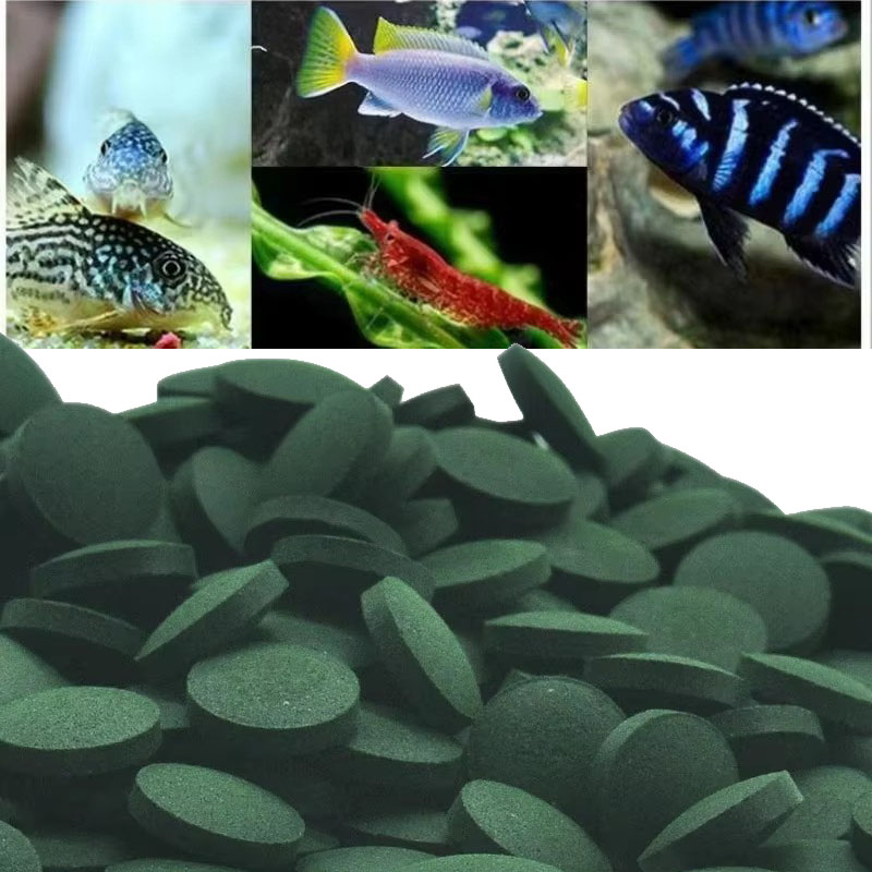 50/100/300/500pcs Spirulina Ta – Spirulina Tablet Organic Bewertung und Preis