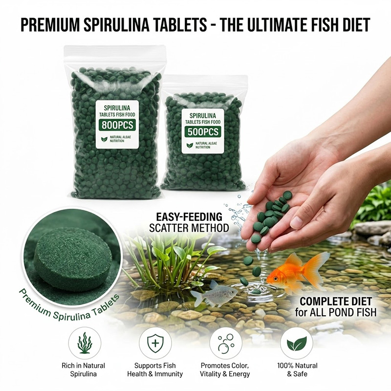 SIKEZHAN High Purity Spirulina – Spirulina Tablet Organic Bewertung und Preis